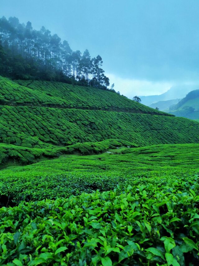 10 Best Places to visit in Kerala Must visit